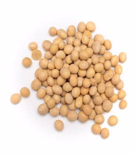 Soya