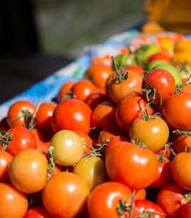 Tomatoes