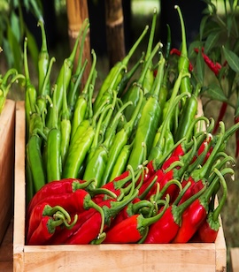 Chilli