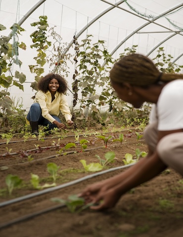 Ecological Farming